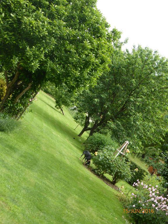 Bedbreakfastbikespyrenees Bed & Breakfast Loubieres Exterior foto